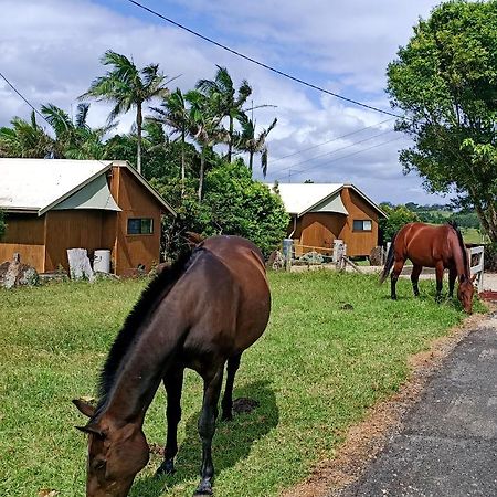 Byron Bay Farm Cottages Exteriör bild