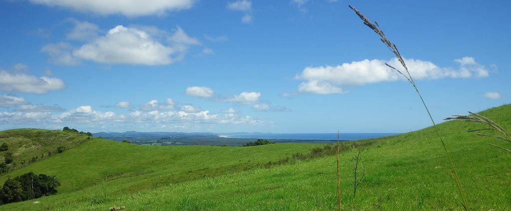 Byron Bay Farm Cottages Exteriör bild