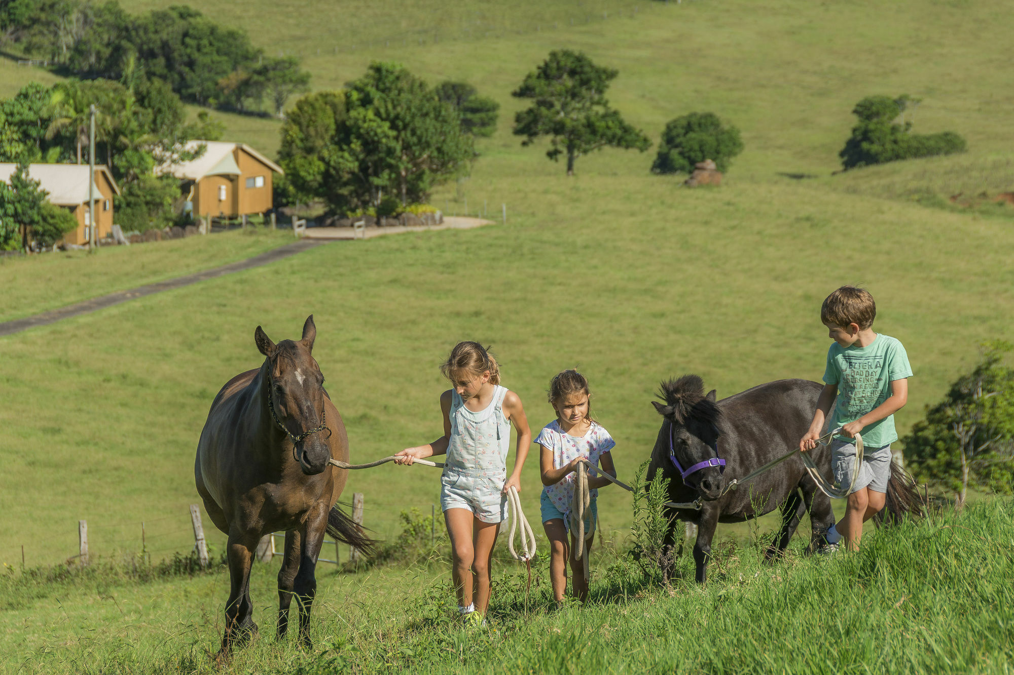 Byron Bay Farm Cottages Exteriör bild