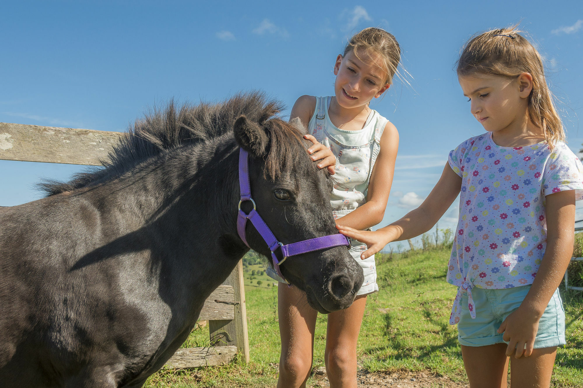 Byron Bay Farm Cottages Exteriör bild