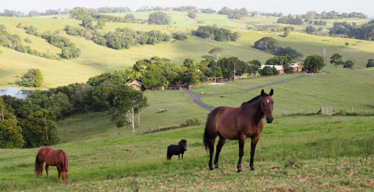 Byron Bay Farm Cottages Exteriör bild