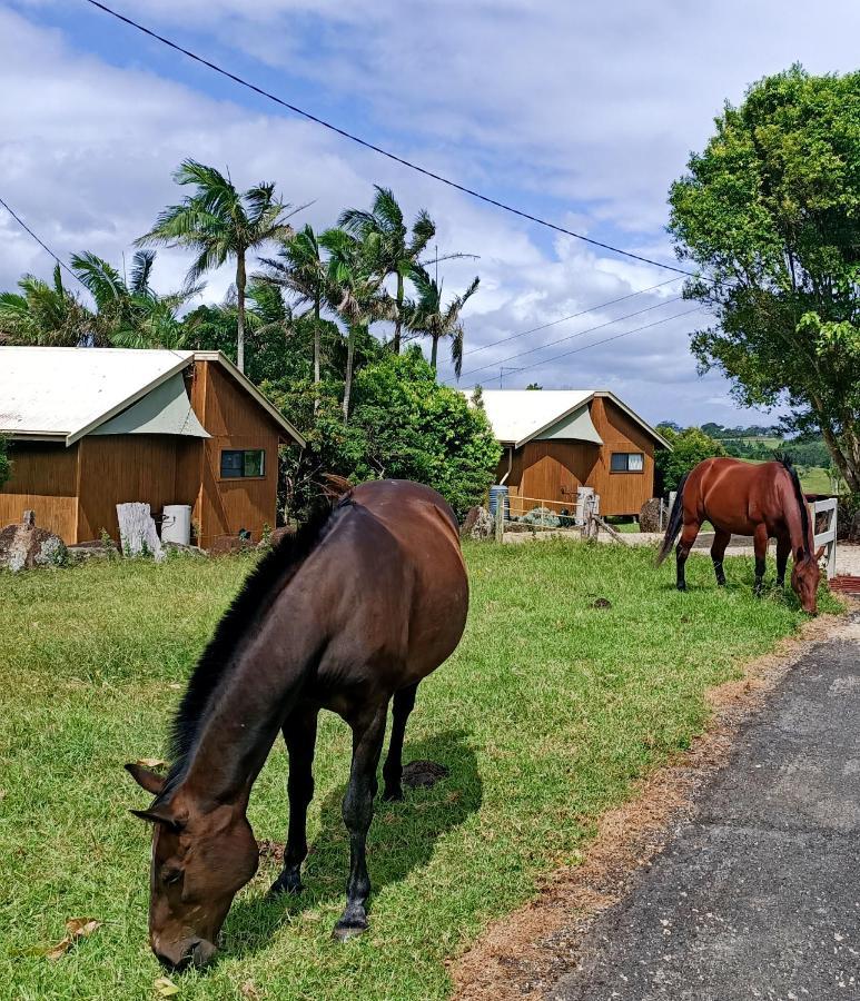 Byron Bay Farm Cottages Exteriör bild