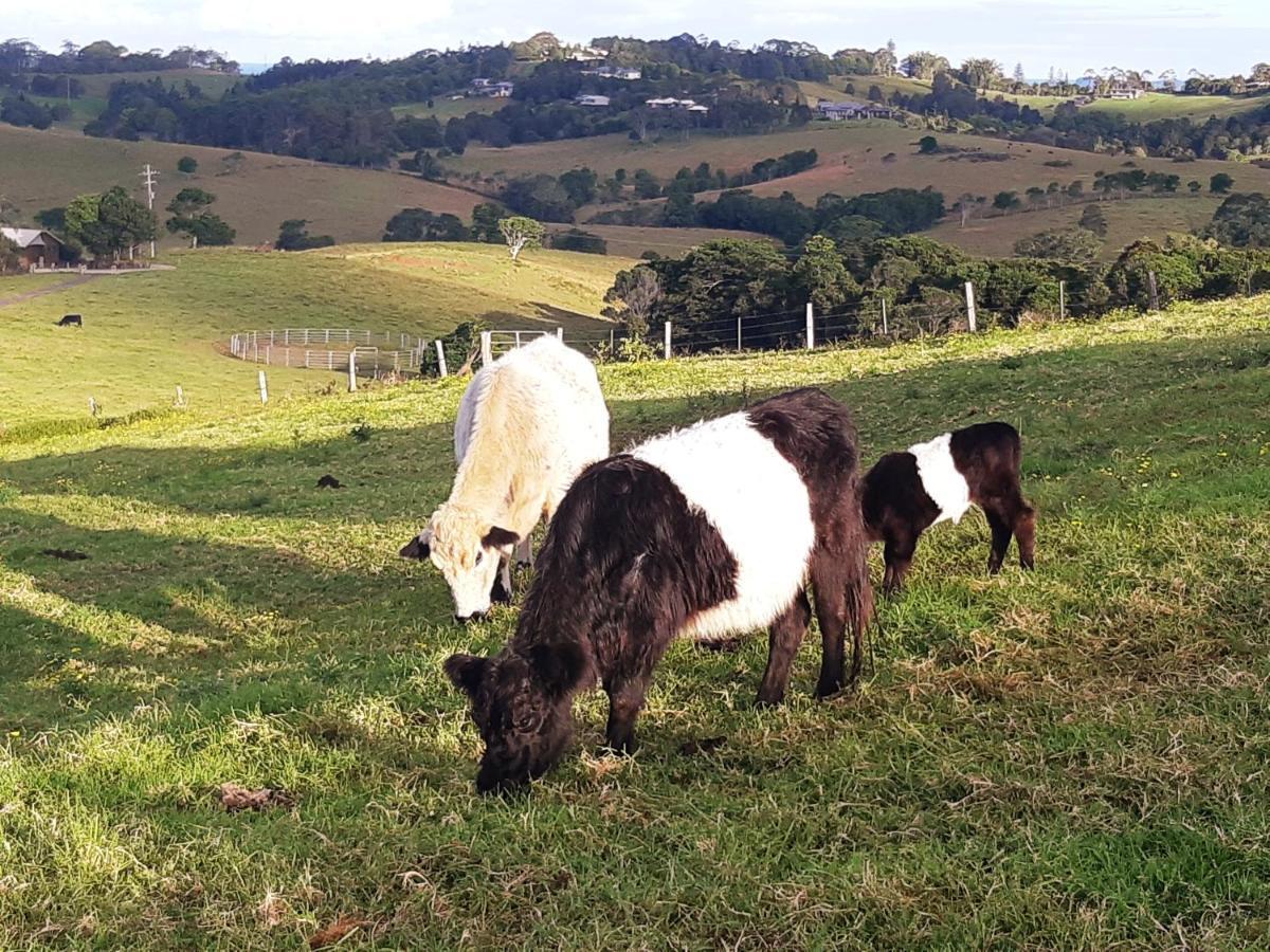 Byron Bay Farm Cottages Exteriör bild