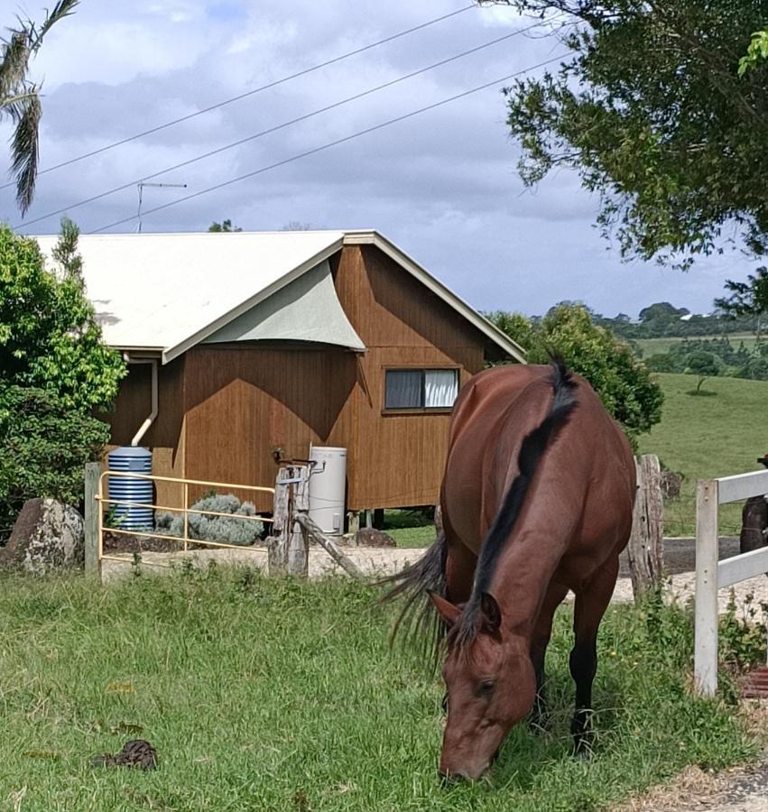 Byron Bay Farm Cottages Exteriör bild